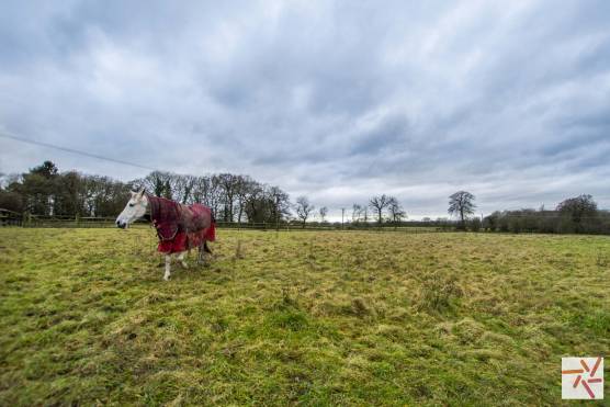 3223C 22 filming location house in cheshire rural fields with horse available for filming.jpg