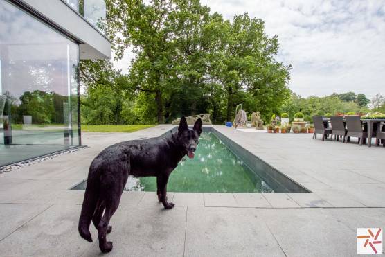 3225C 39 filming location house in Cheshire contemporary outdoor swimming pool.jpg