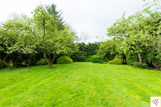 3279C 29 filming location house in Cheshire stunning vast garden with tall bushes surrounding.jpg