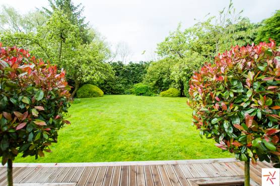 3279C 30 photo shoot location house in Cheshire garden lots of greenery with decking.jpg