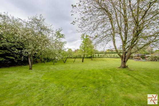 3280C 20 photo shoot location house in Cheshire vast back garden with grass area and tall trees.jpg