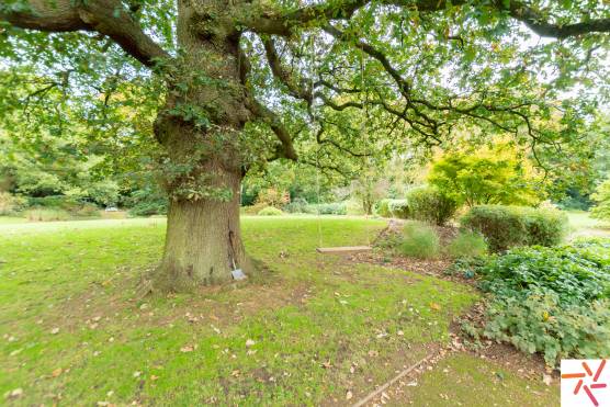 3305S 57 filming location house in Stafford period property gardens with tree swing.jpg