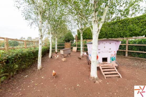 3305S 69 photo shoot location house in West Midlands chicken coop.jpg