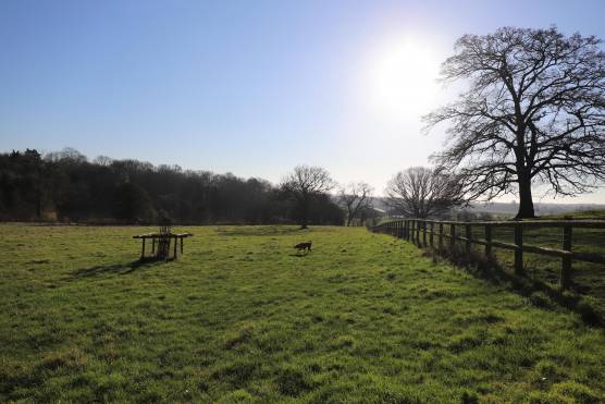 3335B 25 tv shoot location house in West Midlands with acres of gardens and farmland