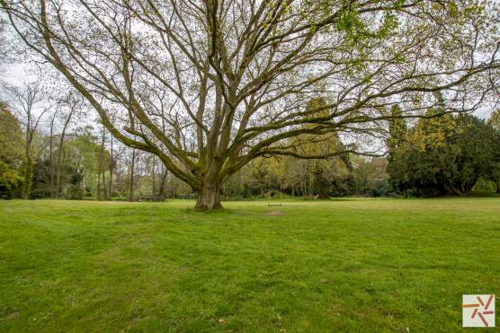 3341N 43 tv shoot location house in North Yorkshire period property large gardens