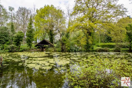 3341N 46 photo shoot location house in North Yorkshire stately home with private lake