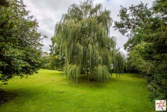 3369C 26 photo shoot location house in Cheshire stylish family home with large garden