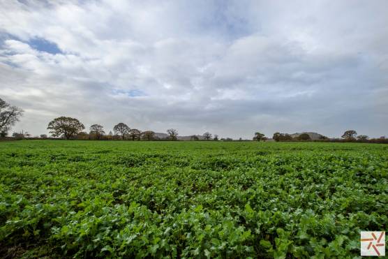 3376C 40 filming location house in Cheshire with large garden with rural views