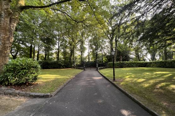 3379W 42 photo shoot location house in Leeds period property garden.JPG