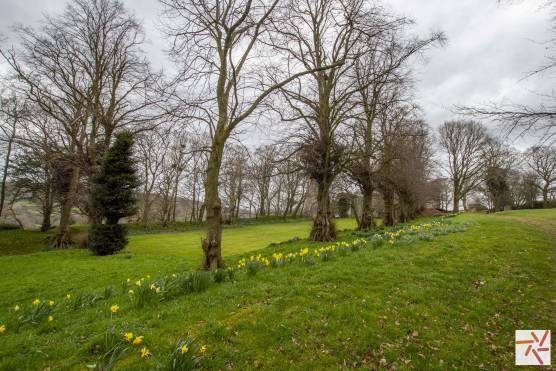 3398S 54 photo shoot location house in Staffordshire historical property with impressive gardens and views