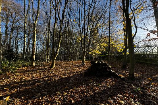 3450W 47 tv shoot location house in West Yorkshire stylish garden with woodland