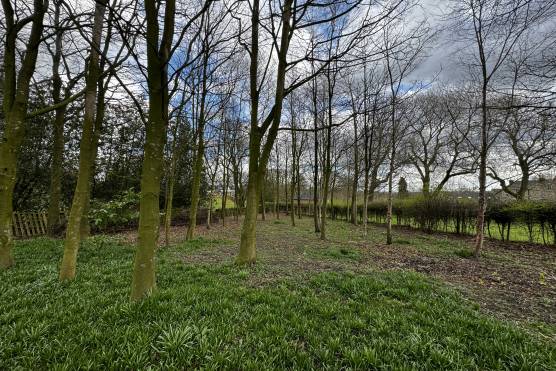 3462W 45 filming location house in West Yorkshire large garden and woodland