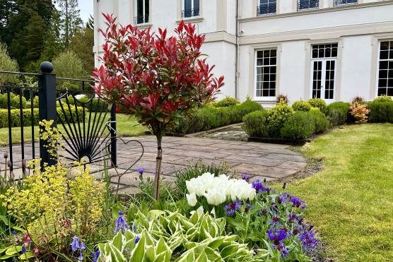 3478NW 24 tv commercial location house in North Wales elegant period property gardens.JPG