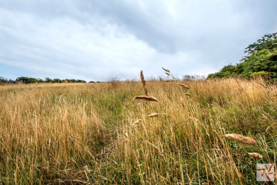 3148W location for hire in West Yorkshire with acres of private land and fields with facilities and outbuildings